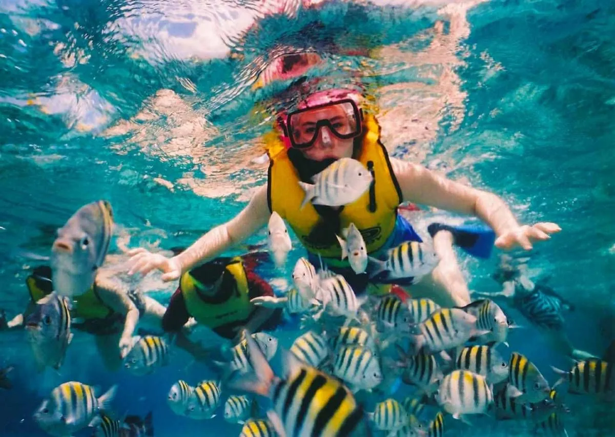 Snorkelling in clear turquoise waters off Zanzibar Tanzania Indian Ocean
